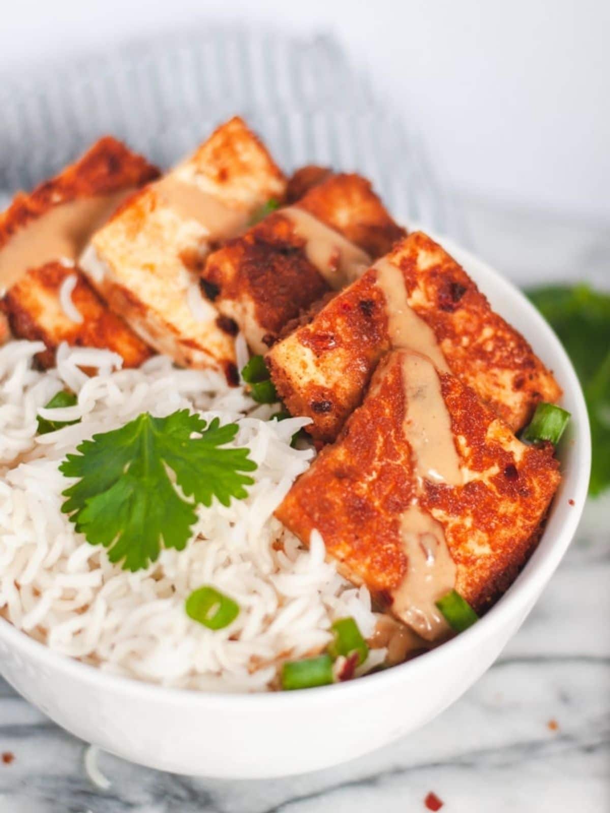 Close up of tofu, rice, and cilantro.