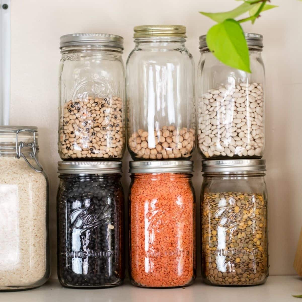 30 Vegetarian Pantry Staple Recipes Cozy Peach Kitchen