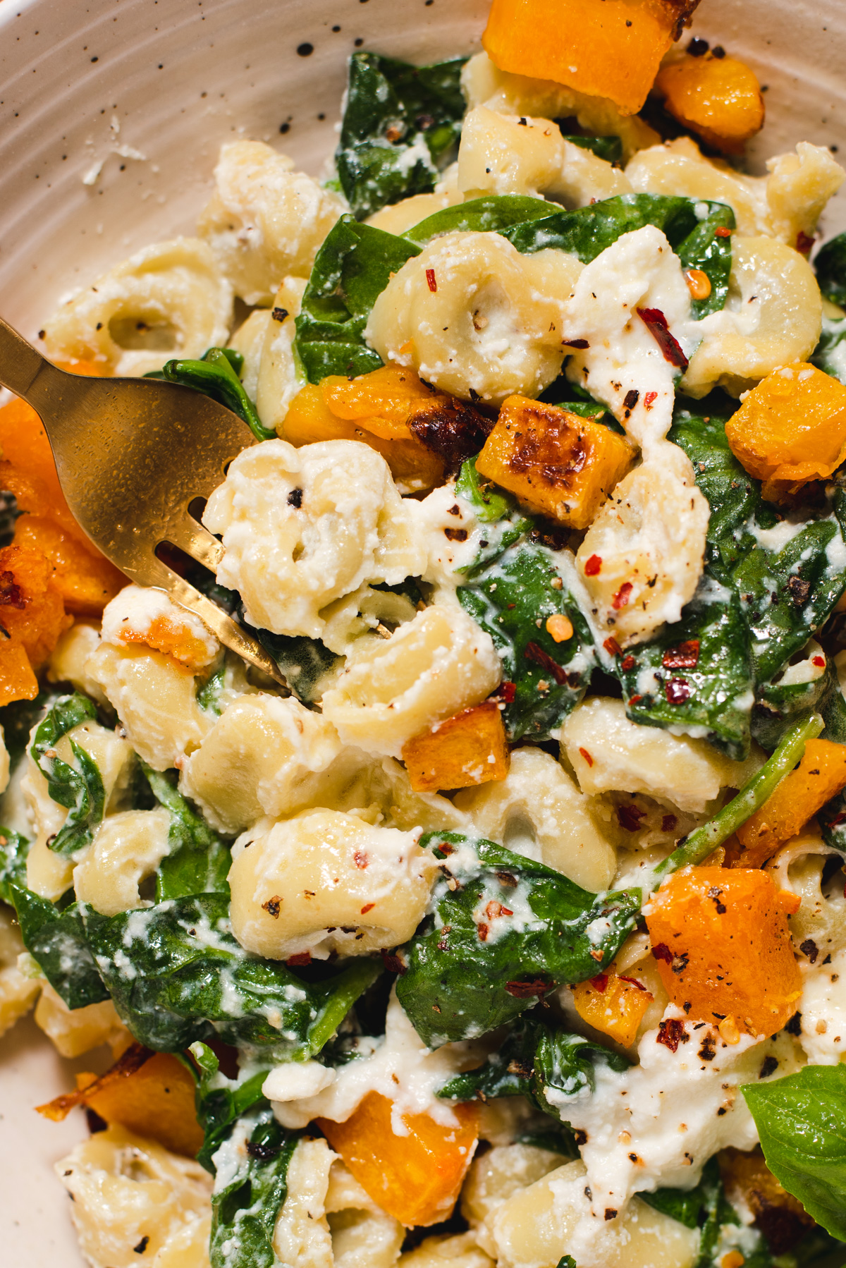 Close up of tortellini, spinach and roasted butternut squash.