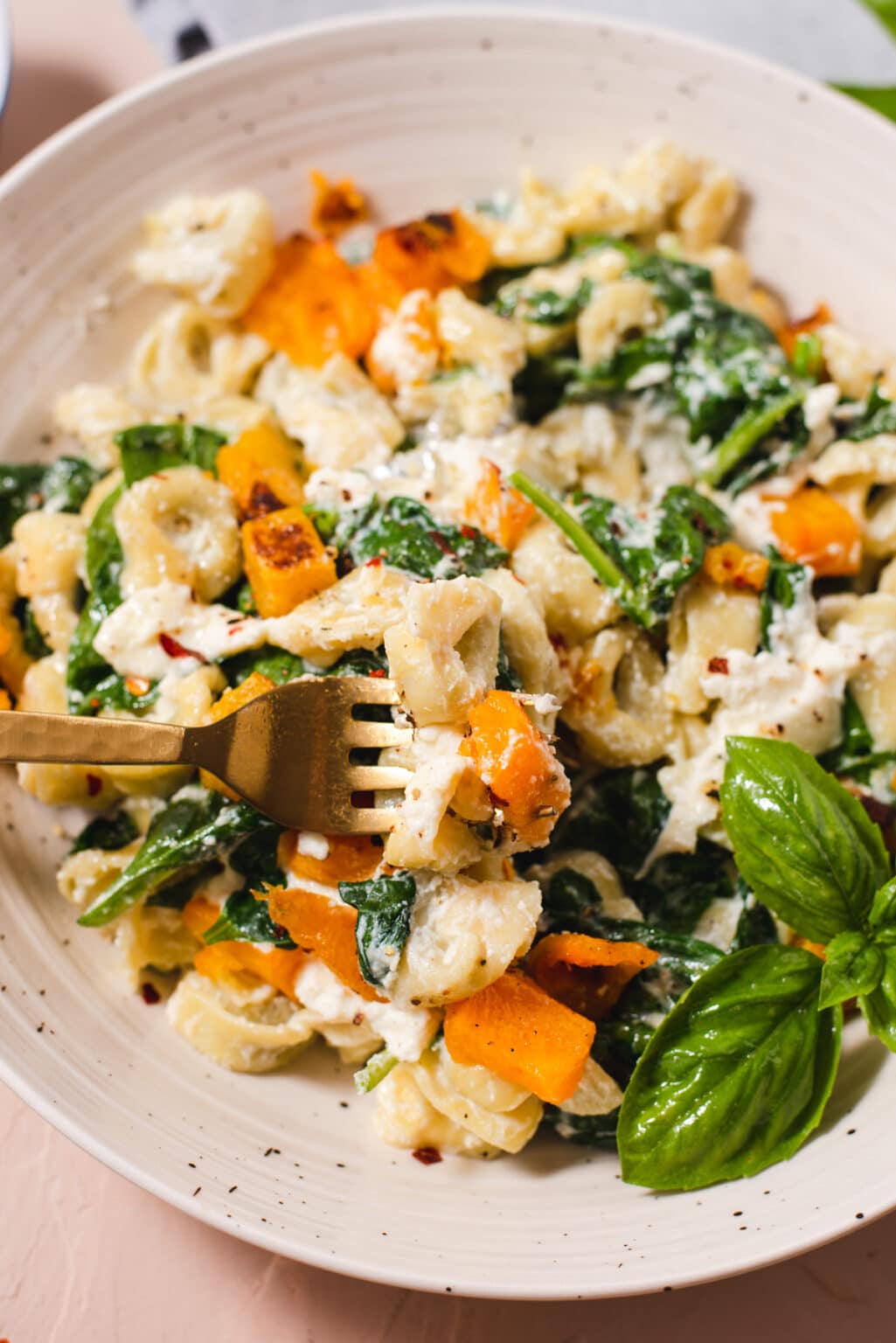 Tortellini with Ricotta and Butternut Squash Cozy Peach Kitchen