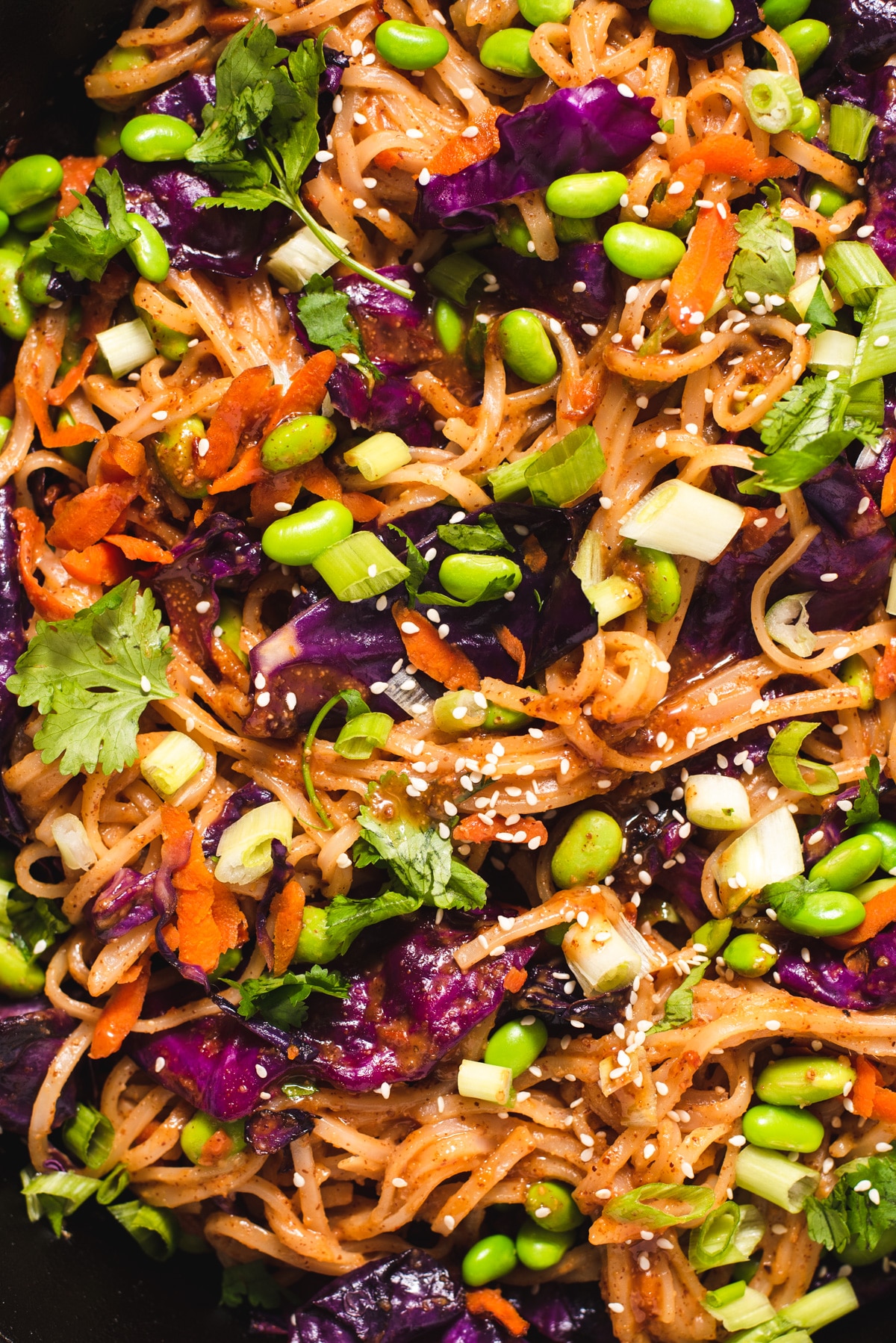 Close up of rice noodles, edamame, cabbage and shredded carrots