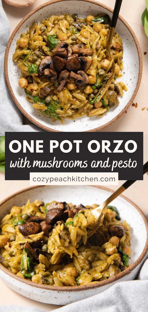 Pesto Orzo (One Pot) Cozy Peach Kitchen