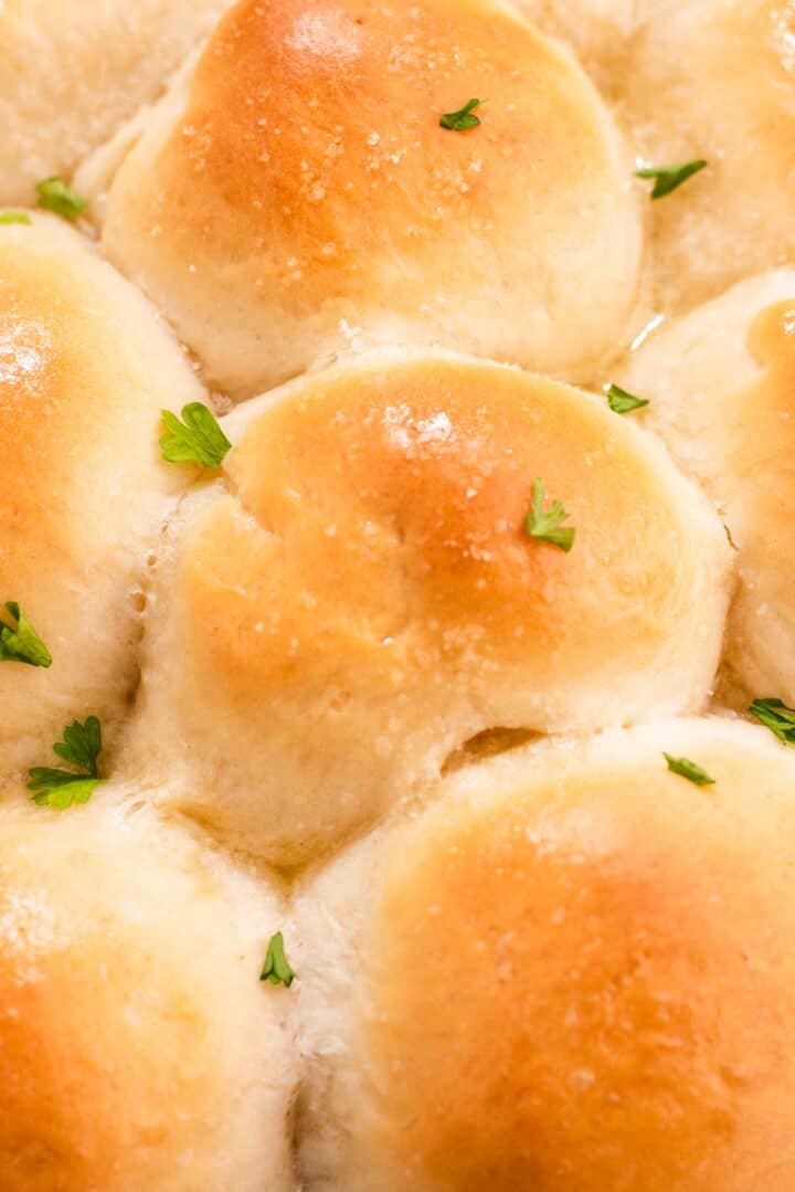 Homemade Yeast Dinner Rolls Cozy Peach Kitchen