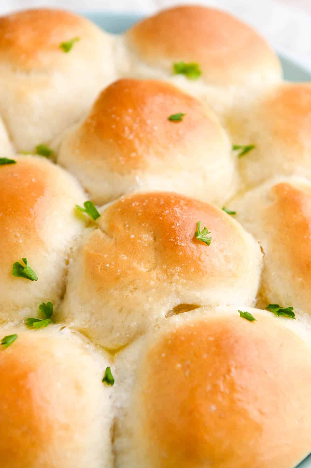 Homemade Yeast Dinner Rolls Cozy Peach Kitchen