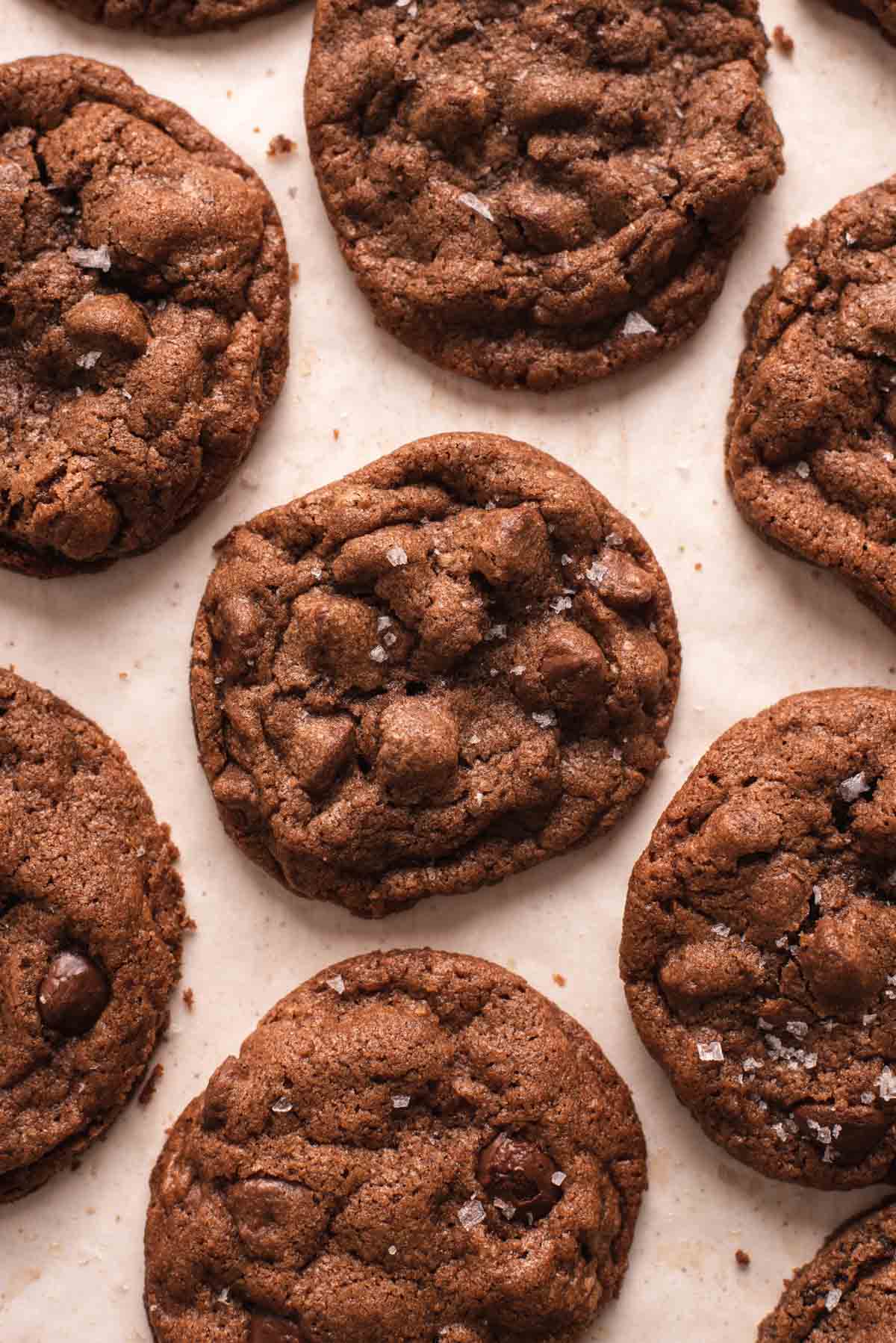 Overhead view of round chocolate cookies on a white background