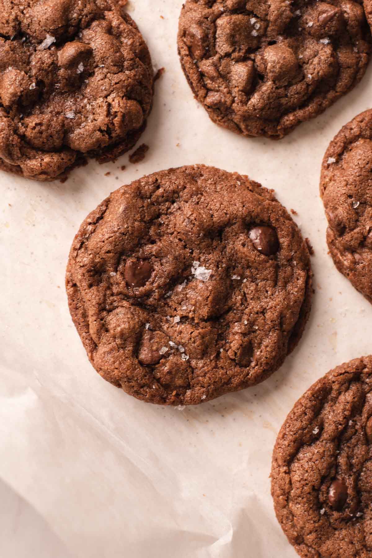 Circular brown cookie surrounded by more cookies on parchment paper 