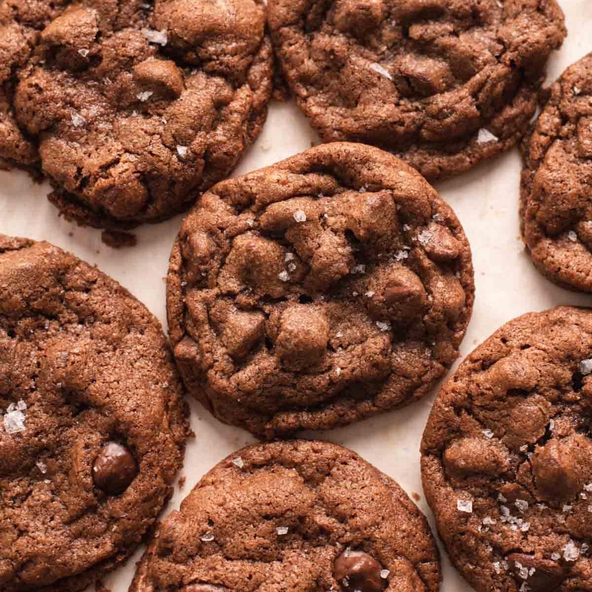 Chocolate Chocolate Chip Cookies - Cozy Peach Kitchen