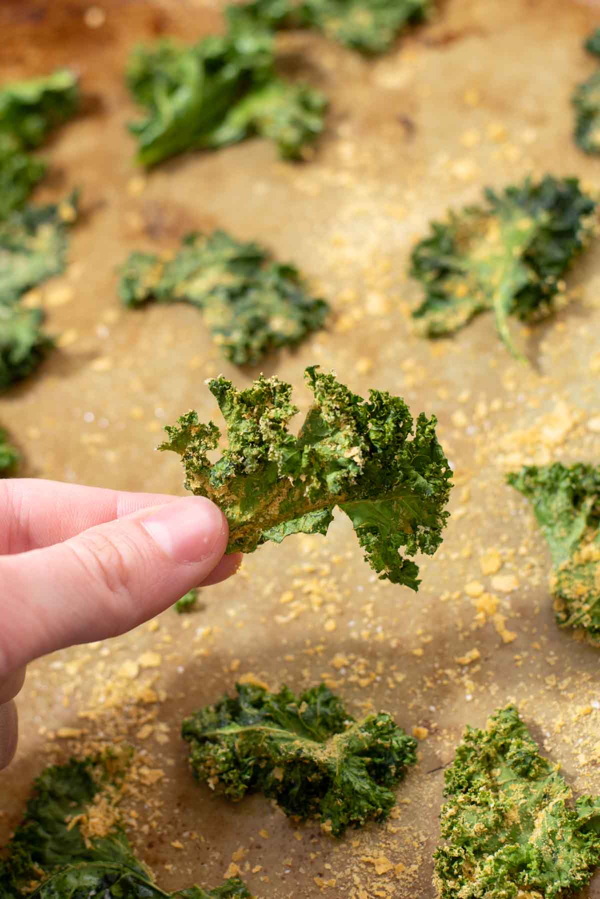 Fingers holding up a kale chip.