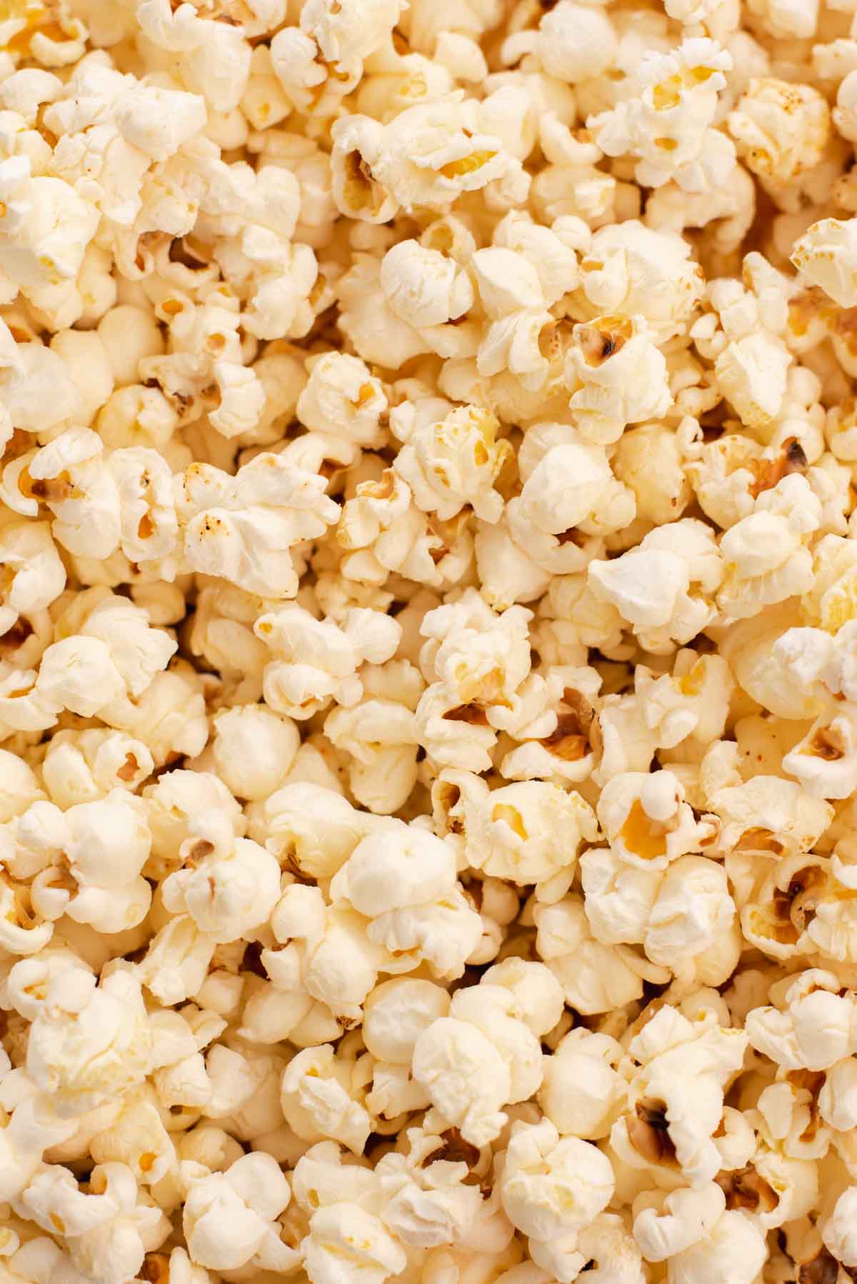 Close up of popcorn kernels.