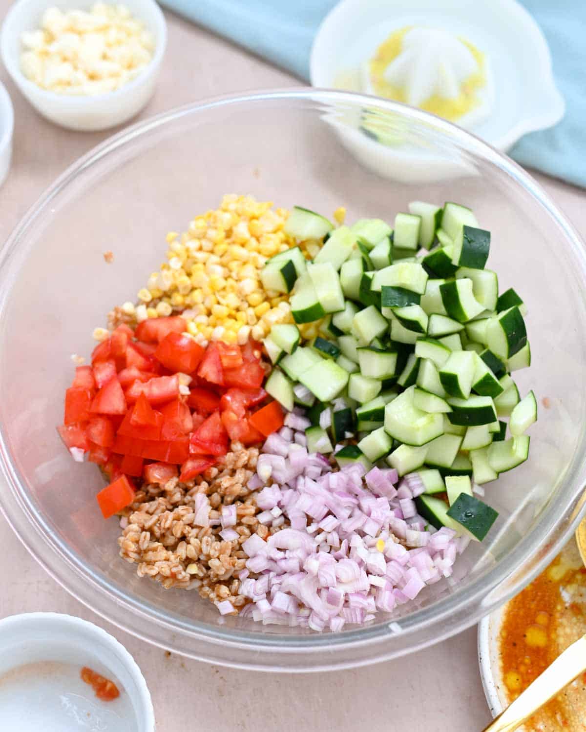 Glass bowl with segments of diced tomato, corn kernels, diced cucumber, diced shallot, and farro.