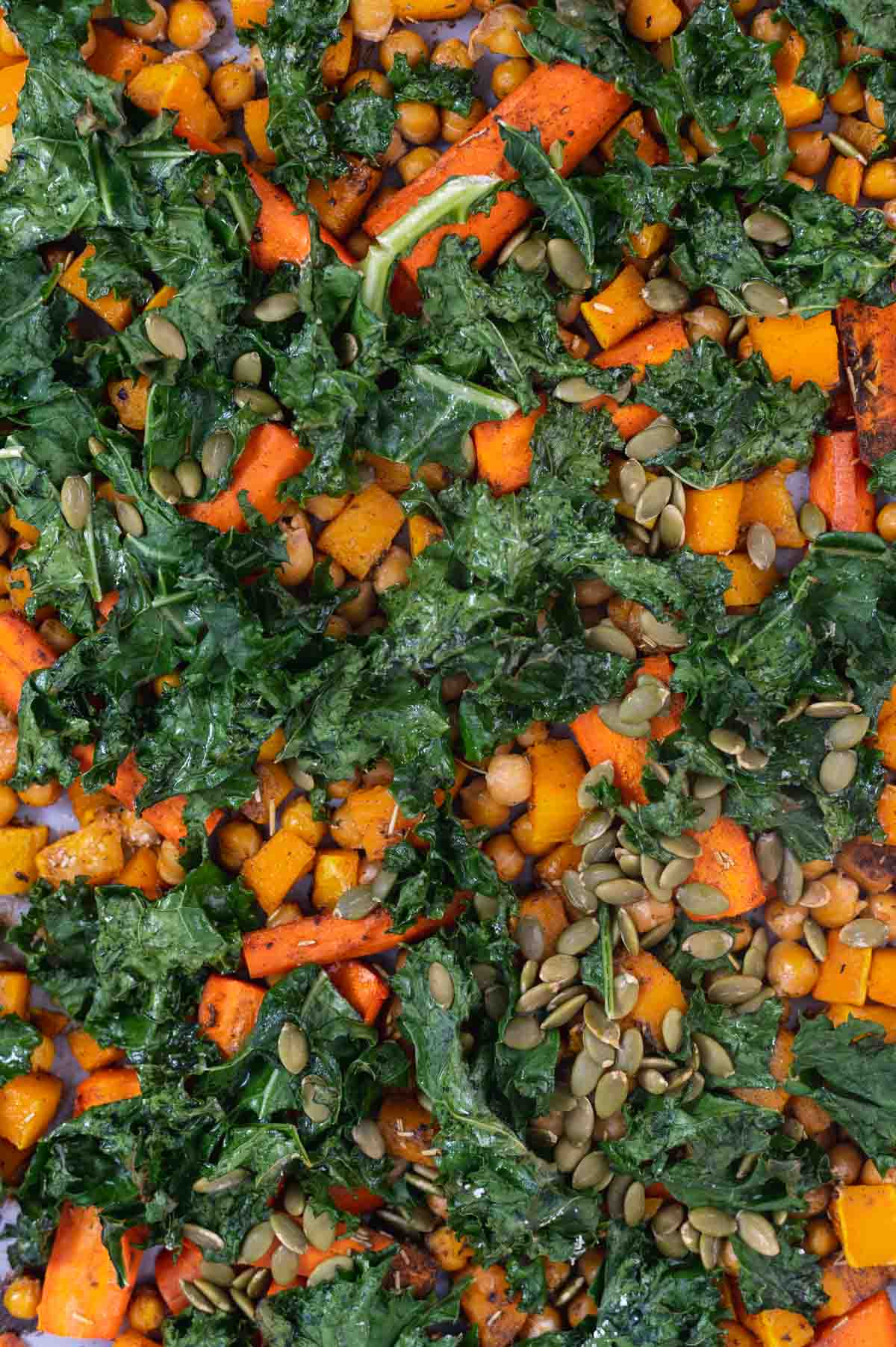Close up of kale on top of squash and carrots.