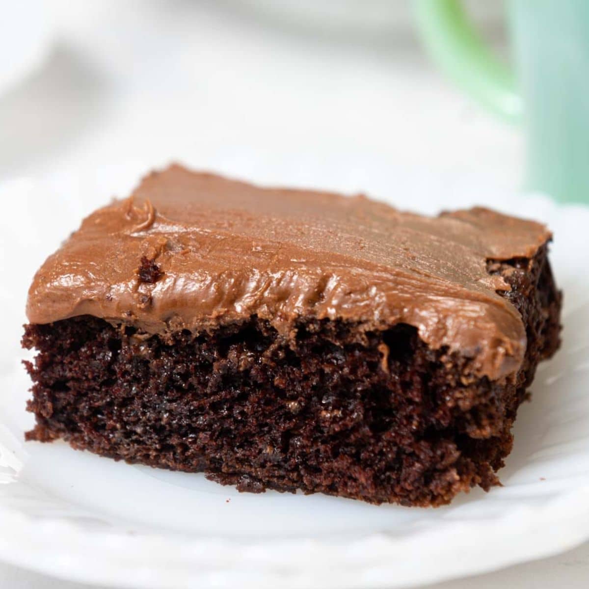 Chocolate cake with brown frosting on a white plate with a green mug in the background.