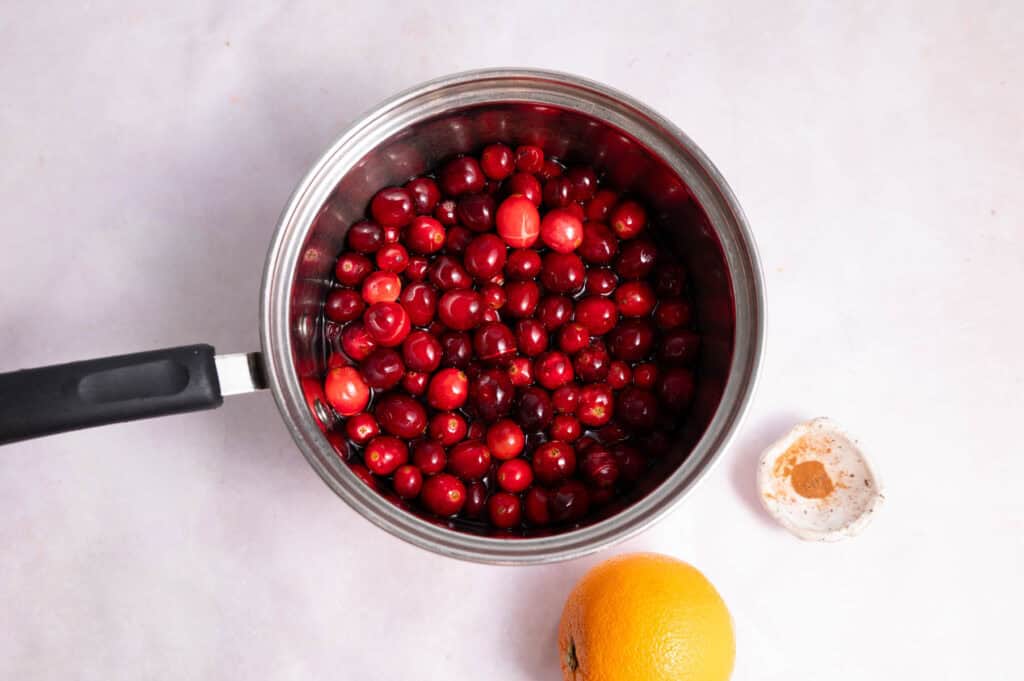 Whole cranberries and water in a silver pot.