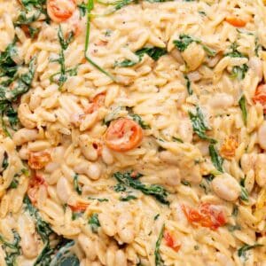 Close up of creamy orzo with tomatoes and arugula.