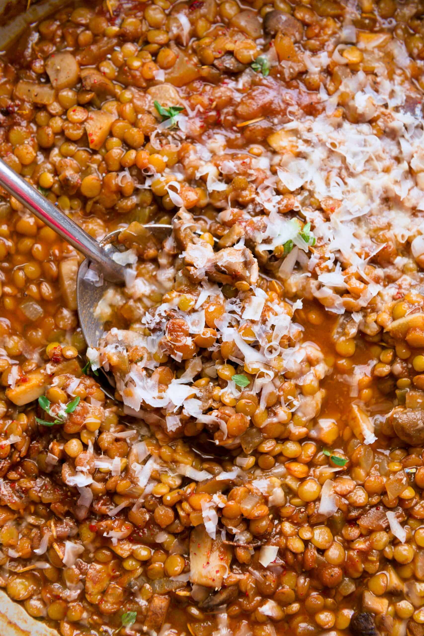 Close up of a slotted metal spoon in brown lentils topped with parmesan.