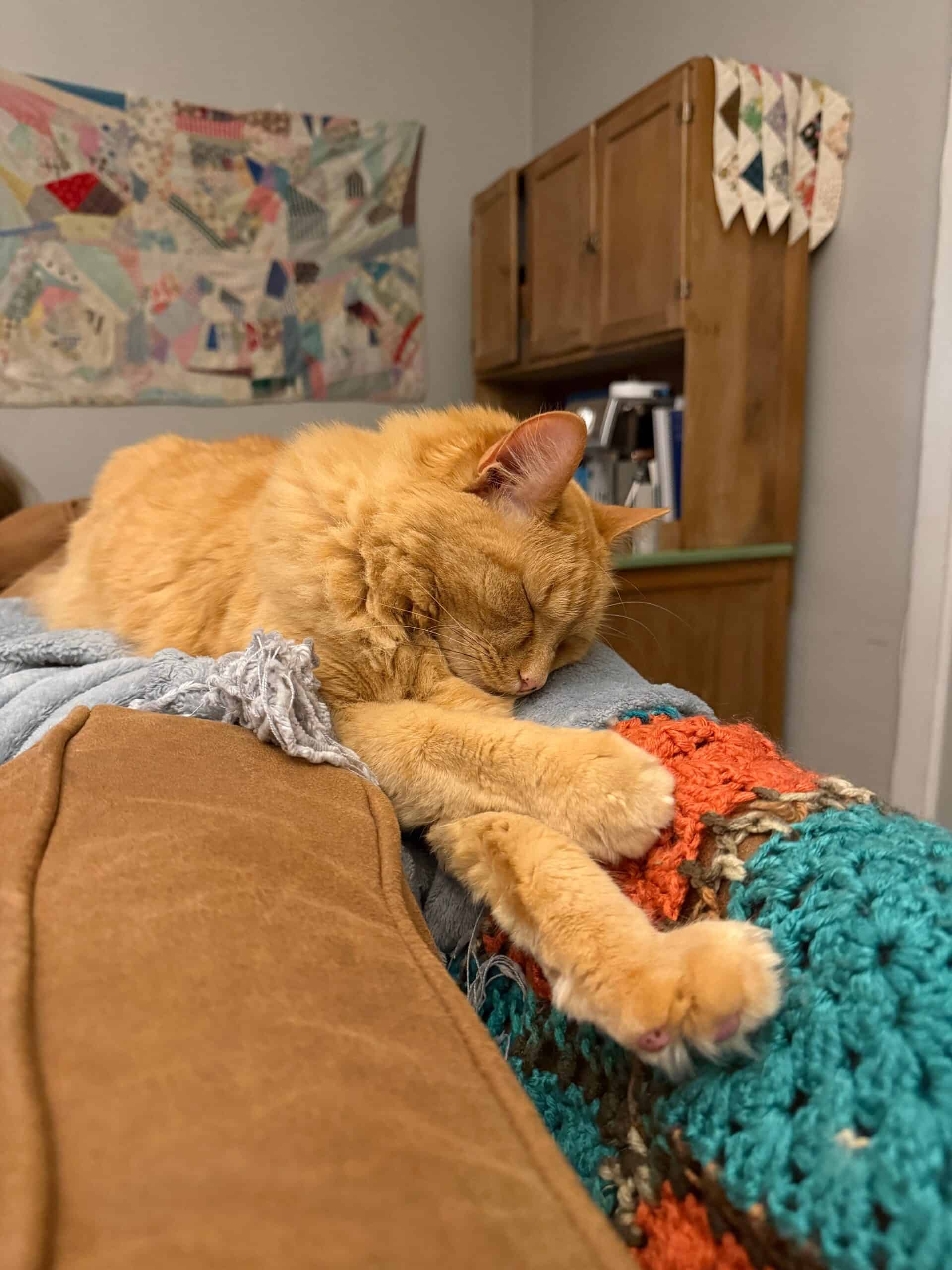 Orange cat sleeping on blankets with his arms stretched out in front of him.