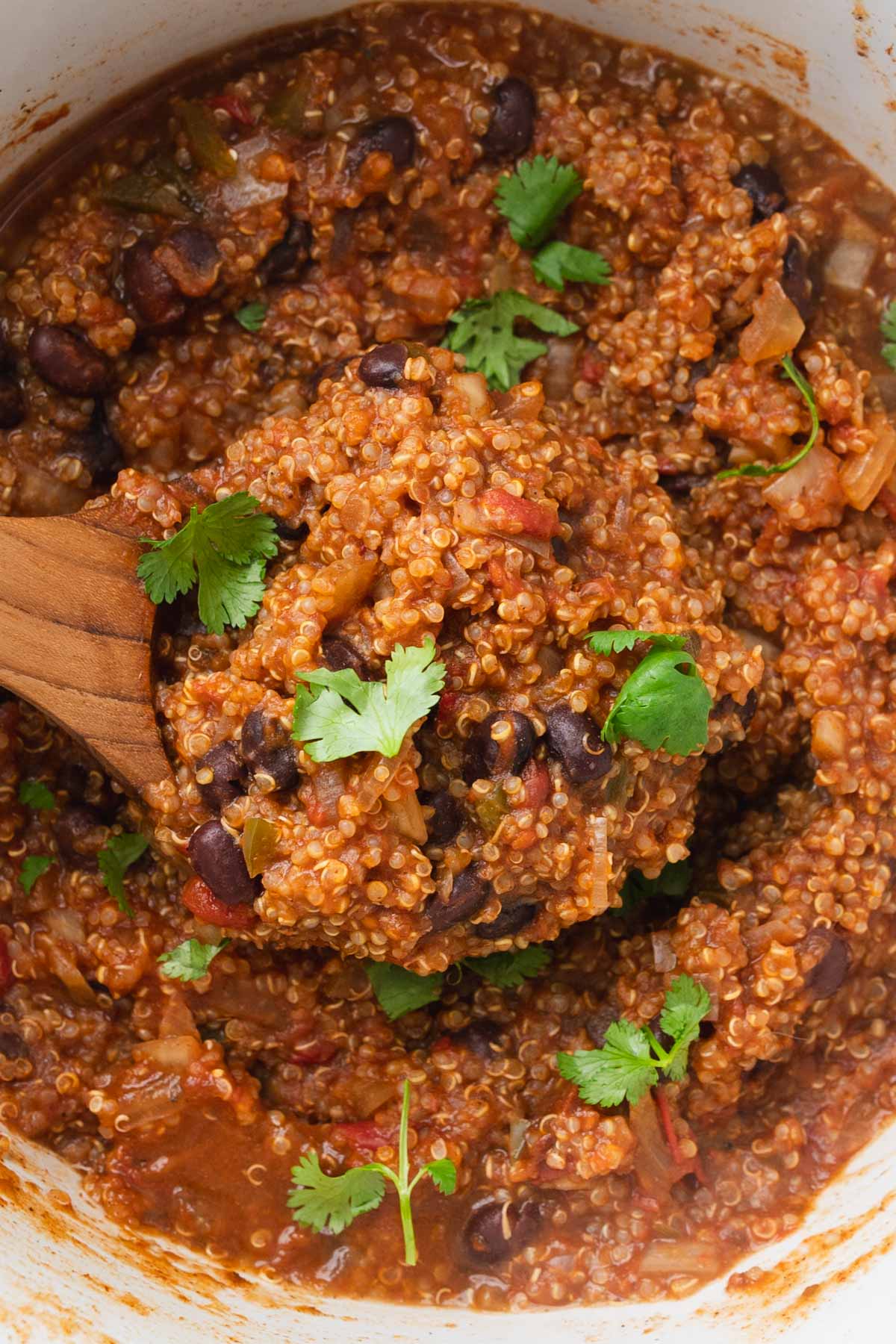 Close up of scoop of seasoned quinoa topped with cilantro leaves.